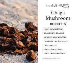 You can buy ground chaga from the herbiary here in asheville (they ship) or at your local herb shop. How To Make Chaga Tea In Crock Pot Arxiusarquitectura