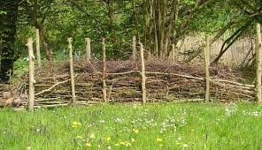Okologischer Sichtschutz Und Mini Biotop Garten Pflanzen Pflanzen Gartengestaltung