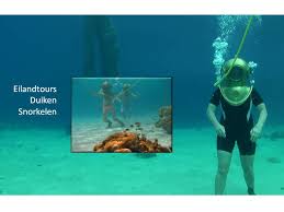 Helm Duiken Curacao Home Facebook