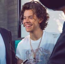 У гарри есть старшая сестра джемма. Pin By Ziah Chen On H A R R Y S T Y L E S Harry Styles Wallpaper Harry Styles Pictures Harry Styles Cute