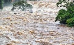 4,200+ Stormy River Flooding The Forest Stock Photos and ...