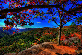 We must preserve the forests so that we have more fresh air to breathe. 25 Breathtaking Examples Of Nature Photography