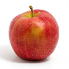The picture will teach your child to be obedient to the laws of god. Adam And Eve The First Sin Bible Lesson For Children Ministry To Children