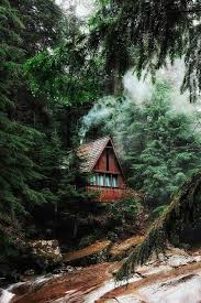 blockbohlenhauser www pineca de blockbohlenhauser waldhaus hutte im wald marchenhaus