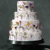 Today, edible flowers are becoming popular once again by upscale restaurants and caterers; Https Encrypted Tbn0 Gstatic Com Images Q Tbn And9gcsdnd5cqwj1umvypl4ts3t Oucs2qtwuzf1lvs Ls Nkjehd4q6 Usqp Cau