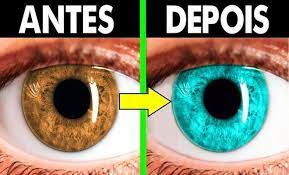 tediado panosundaki pin