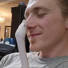 Boa constrictor behaving strangely in Washington?