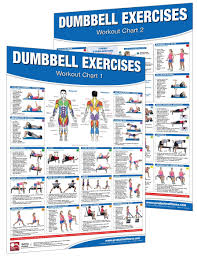 Dumbbell Workout Poster Chart Set Shoulder Training
