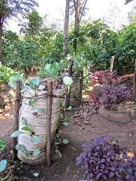 You're even welcome to touch the flowers. A Visit To Goftc Part Two Keyhole Garden Garden Layout Vegetable Tower Garden