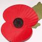 Discover Eggar's History - workshop for Y4 and Y5 event image