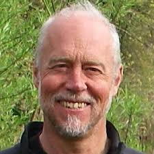 East Hampshire local election: The 11 candidates in Bramshott & Liphook