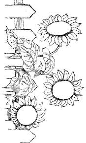 A narcissus with a bug. Sunflowers Sunflower Coloring Pages Flower Coloring Pages Coloring Pages