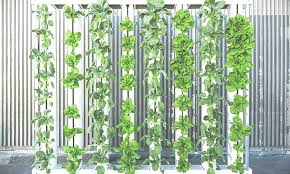 It's really an awesome variation on container gardening. A Beginner S Guide To Vertical Farming Eco Warrior Princess