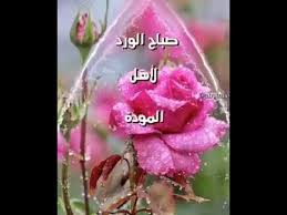 Jual ecig, mods, atomizers, regulated mods, coils, rebuildables, vv/vw mods, ecigarette, rokok elektronik, rokok listrik, eliquid, ejuice, rokok elektrik ØµØ¨Ø§Ø­ÙƒÙ… ÙˆØ±Ø¯ ÙˆÙÙ„ ÙˆÙŠØ§Ø³Ù…ÙŠÙ† Ø§Ù„ÙˆØµÙ Ù…Ù‡Ù… Youtube