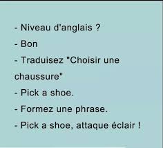 Résultat de recherche d'images pour "phrase droles"