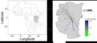 Image result for Oxygonum salicifolium