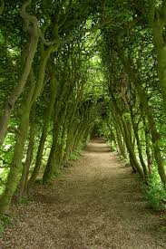 groene bedstee landschappen prachtige landschappen groene natuur