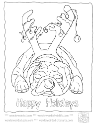 Collection by keylee • last updated 11 weeks ago. Christmas Dog Pictures To Color Echo S Cartoon Dog Christmas Coloring Home