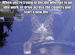When Driving Funny Memes About Work Work Humor Funny Pictures