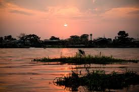 The congo river has also been called the zaire river. Congo River Fun Facts Africa Facts