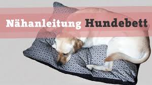 59,99 € * gewicht 1.85 kg. Nahanleitung Hundebett Hundekissen Diy Selber Nahen Hund Bett Kissen Katze Video Kostenlos Tutorial Youtube