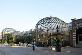 Affen Und Vogelhaus Artis Royal Zoo Amsterdam Sprenger Von Der Lippe In 2020 The Zoo Zoo Tierlebensraume