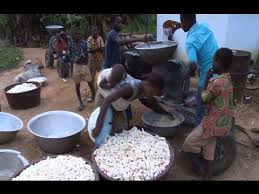 Cote D Ivoire Une Unite De Transformation Du Manioc A Ahoutoue Alepe Youtube