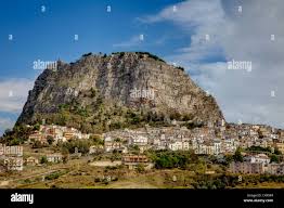 Image result for Sutera debilis