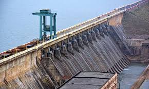 Dams Spell Doom For Freshwater Fish India Water Portal