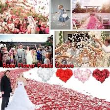 Cb flowers and crafts carries wholesale wedding silk flower petals in a rainbow of colors. 500 Pcs Set Silk Rose Petals Leaves Artificial Flowers Petals Wedding Decoration Fake Flower Party Decor Shopee Malaysia