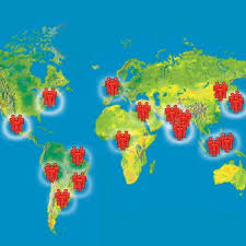 Si la mongolie adopta l'alphabet cyrillique pendant. Les Plus Grandes Villes Du Monde En 2020