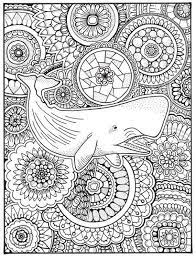 Let us play with our coloring pictures of the whale. Pin On Products