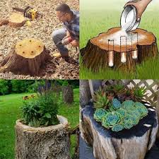 Atlanta Botanical Garden Discount Codes Gardening Youtube 2018 Movies Garden Top Dressing A Flower Planters Garden Yard Ideas Backyard Landscaping Designs
