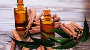 Kayu manis merupakan tanaman asli indonesia yang tersebar di beberapa propinsi di indonesia seperti di jawa, sumatera, maluku, nusa tenggara dan papua. Ini Belasan Manfaat Minyak Kayu Manis Yang Paling Oke Bikin Orang Awet Muda Ayonews Com