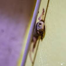 Profile for walters.dk