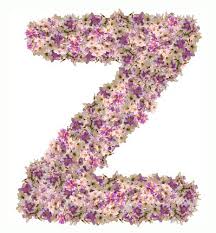 View images of prenatal z advanced formula and identify pills by imprint code, shape and color with the drugs.com pill identifier. Letter Z Alphabet With Flower Abc Concept Type As Logo Clipart Image