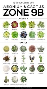 Understand what is meant by a plant hardiness zone. 230 Zone 9b Planting Ideas In 2021 Plants Lawn Free Yard Birds Bees Butterflies