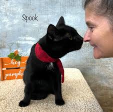 Wish you a super Week-end😘