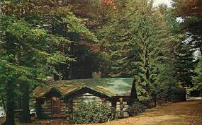 Maybe you would like to learn more about one of these? Cooks Forest State Park Postcard History