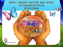 Biotic And Abiotic Factors In An Ecosystem Slideshare Ecology Biotic Abiotic Factors And Levels Of Organization In Ecosystems Teaching Biology Formative Assessment Teaching Critical Thinking