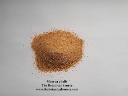 Image result for Maerua edulis