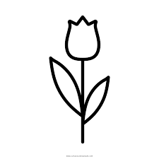 Greetings folks , our todays latest coloringimage which you couldwork with is tulip flower coloring page, published on flowerscategory. Tulip Flower Coloring Page Ultra Coloring Pages