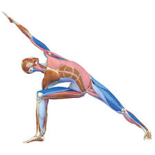 We are a new boutique yoga studio in the heart of suffield ct. The Yoga Nook Home Facebook