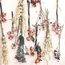 Prep the flowers for drying. Trend Alert Dried Flowers And Flower Pressing Ulster Carpets Residential