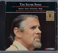 Silver Swan