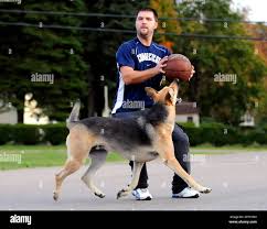 Seth Berner of Vernon Conn, is guarded by his three-year dog Manny, named  after the former Red Sox slugger Manny Ramirez, but it appears basketball  is his game, Monday, Oct. 18, 2010,