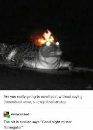 This Is Literally My Wallpaper Tumblr Funny Funny Pictures Memes