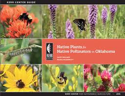 Help all bees with your bee friendly garden. Native Plants For Native Pollinators In Oklahoma Kerr Center