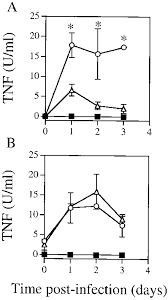 The features rival big players such as winrar, all while not taking a huge toll on system performance. Tnf Production From Bone Marrow Derived Macrophages Following Infection Download Scientific Diagram