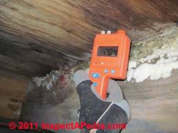Mold or indoor environmental tests & inspections: Tenant S Guide To Mold Mold Advice For Rental Tenants What To Do About A Moldy Rental Apartment Moldy Rental Home Or Moldy Office